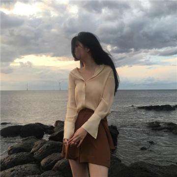 会说话的狮子游戏下载